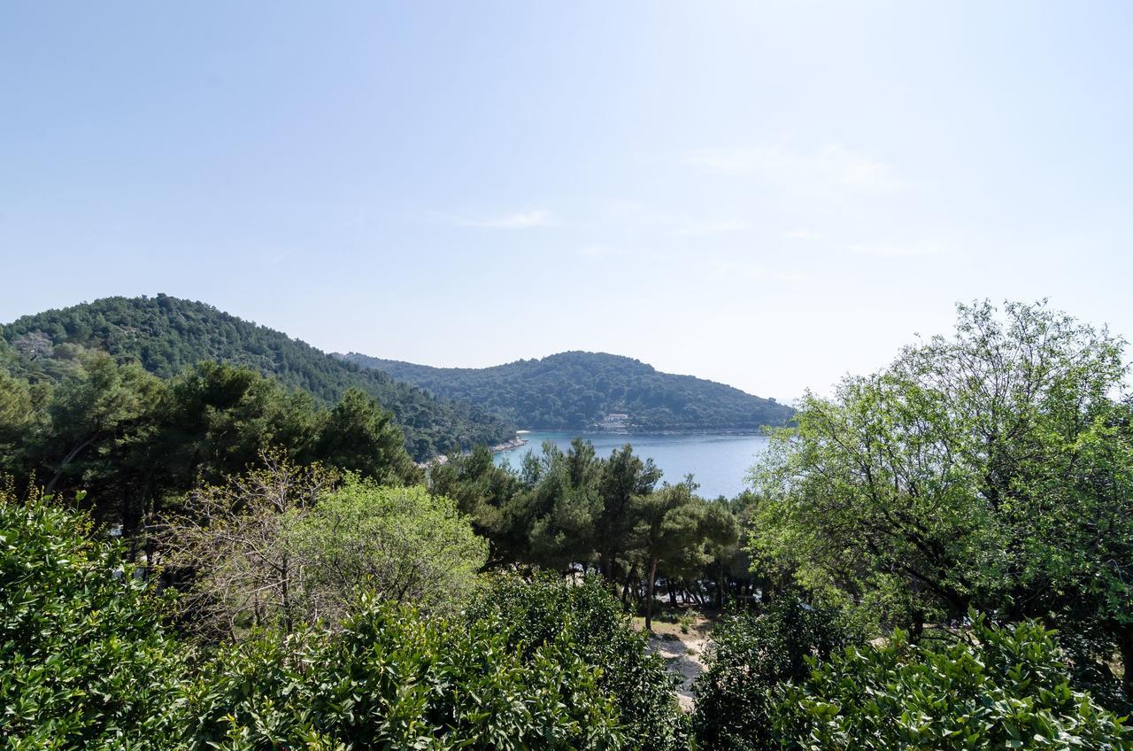 Guest House Kralj Saplunara Exterior photo