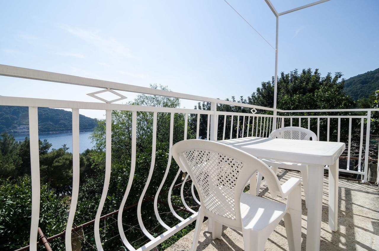 Guest House Kralj Saplunara Exterior photo